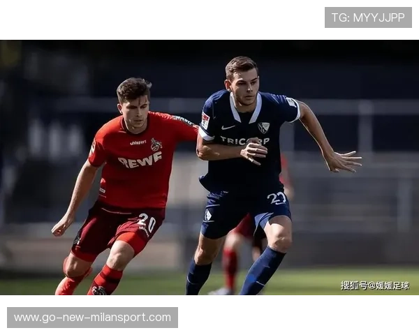 海登海姆状态堪忧，多特准备收割，海登海姆对德累斯顿