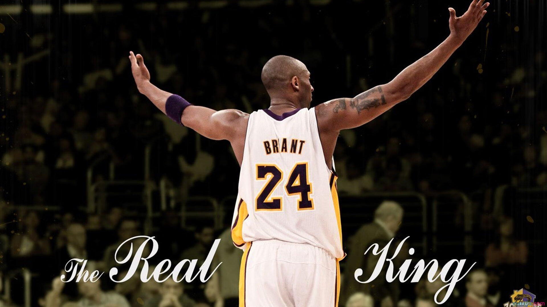 米兰体育在线登录-球员赛后体能报告正式出炉，球员体检项目有哪些